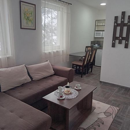 Vila Mozart - Apartments & Studios Kopaonik Exteriör bild